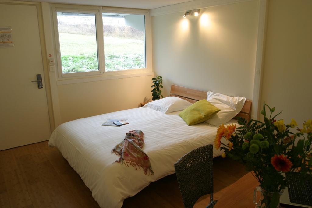 Hotel Pierre Blanche Châtillon-en-Michaille 객실 사진